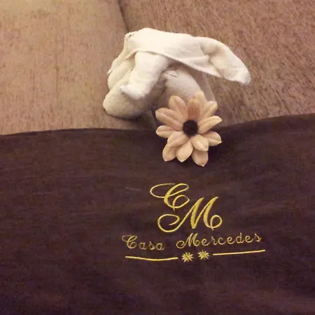 カーサ メルセデス