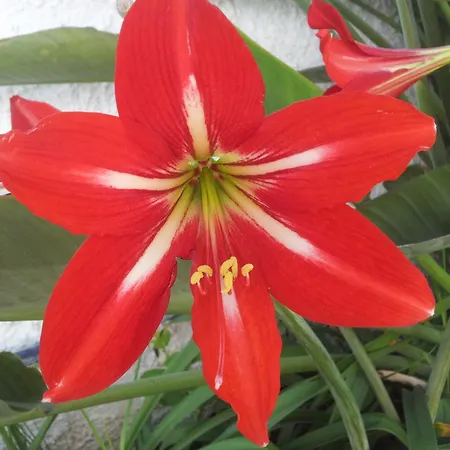 Pensión Casa Mercedes