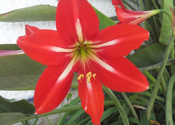 Pensión Casa Mercedes