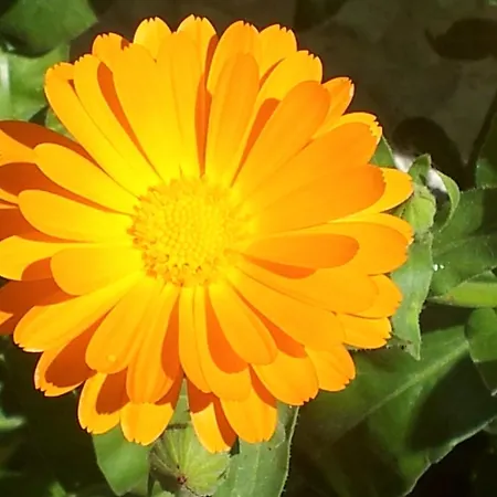 招待所 卡萨梅赛德斯旅馆 内尔哈