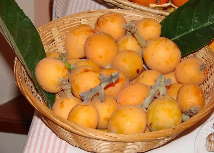 Konukevi Casa Mercedes Nerja